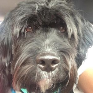 Meet your Posher, Nora